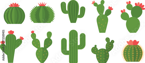 Set of various blooming cactus vector illustrations with pink flowers desert plants succulents prickly pear saguaro isolated on white background for nature design elements