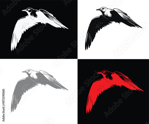 Four variations of a bird in flight with different color schemes