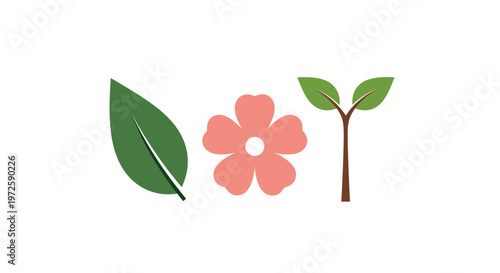 Pink flower with green leaves.