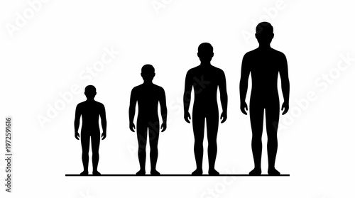 Human growth stages, age progression, child to adult, diverse sizes, isolated on white, copy space, concept, infographic