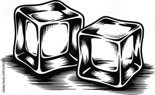 Ice Cubes Vector Illustration