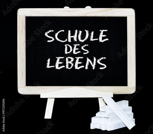 Schule des Lebens
