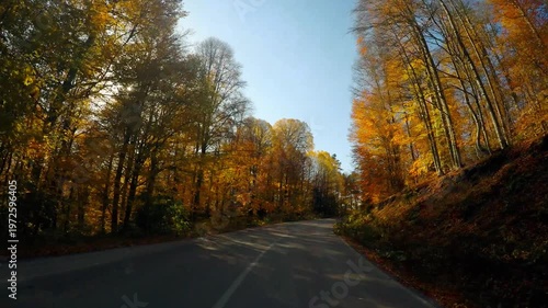 POV driving slowly along an empty winding dirt road through vibrant autumn forest with colorful deciduous trees and brilliant fall foliage at Yedigoller National Park, Bolu, Turkey