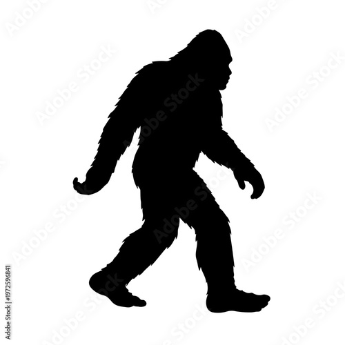 Cuadro en lienzo Silhouette of a walking Bigfoot, mythical Sasquatch or Yeti creature vector illu