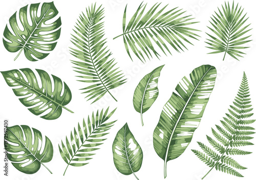 Exotic Tropical Leaf Vector Set Featuring Monstera Palm Banana and Fern Fronds for Jungle Theme Party Decorations Summer Botanical Backgrounds and Island Nature Designs