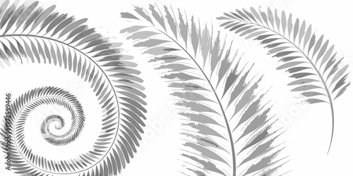 Fern fronds in a swirling spiraling and linear arrangement