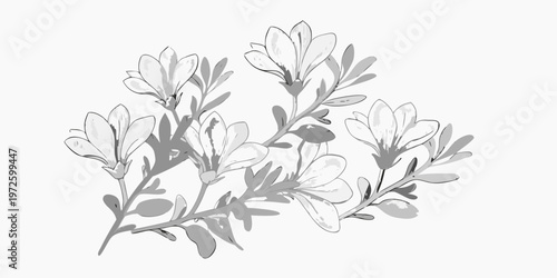 Delicate floral arrangement of blossoming flowers in grayscale illustration