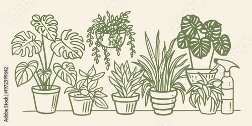 A collection of potted houseplants in a minimalist botanical illustration