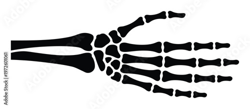 Black Silhouette of a Human Hand Skeleton on a White Background