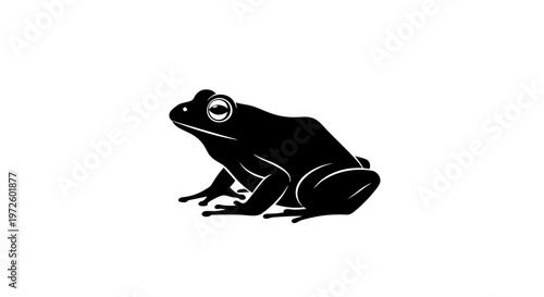 Black frog silhouette on white background, simple minimalist illustration