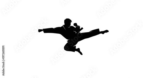 Martial Arts Silhouette: Dynamic Kick Action, Karate Fighter in Motion
