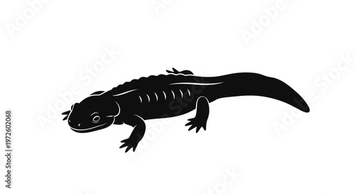 Black Silhouette of a Newt or Salamander on White Background