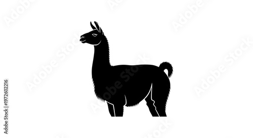 Black silhouette of a llama standing on a white background, isolated