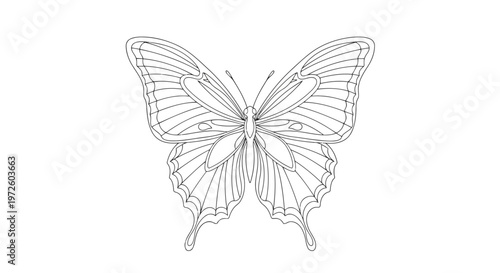 Beautiful colorful swallowtail butterfly with intricate wing patterns isolated on a white background for a nature macro closeup