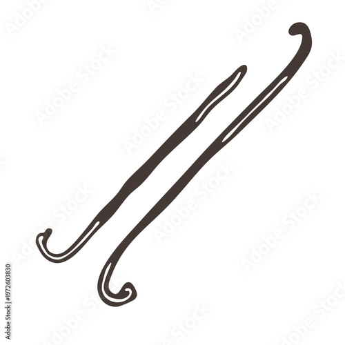 Vanilla beans ink sketch hand drawn illustration. Fragrant ingredient condiment for baking and cooking. Outline natural spices for culinary, aromatherapy, and cosmetic goods