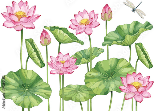 Pink Lotus Flower Vector Background with Green Lily Pads and Dragonfly for Meditation, Wellness, Yoga Designs, Oriental Art, and Serene Nature Illustrations