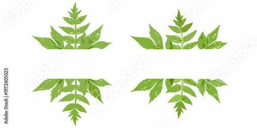 Four arrangements of vibrant green nettle leaves against a white background