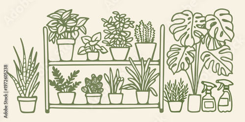 A green shelving unit displays a variety of potted houseplants and tools