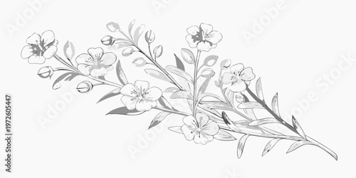 Delicate floral branch illustration in grayscale with blossoming flowers