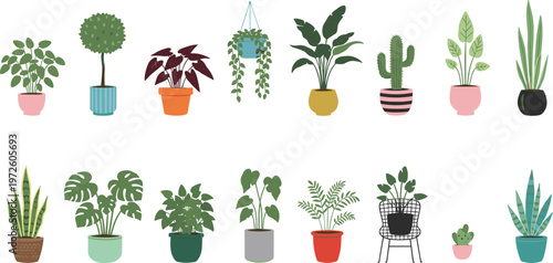 Vector illustration of diverse potted plants including succulents, cacti, tropical leaves and decorative pots in colorful designs