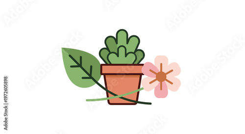 Small potted green succulent plant.