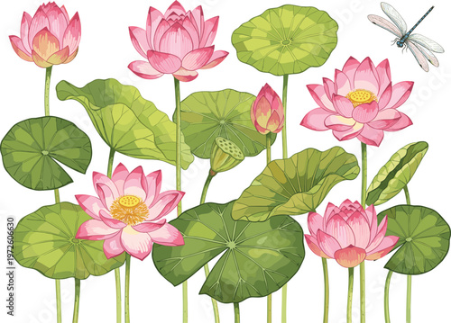 Serene Pink Lotus Pond Vector Set with Water Lily Pads Seed Pods and Dragonfly for Zen Meditation Backgrounds Wellness Spa Branding and Oriental Nature Illustrations