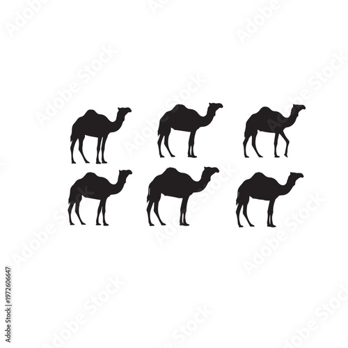 Camel Silhouette Set Black White Vector Illustration
Camel Animal Silhouette Collection Desert Mammal Vector
Camel Black Silhouette Isolated Set Minimal Animal Illustration