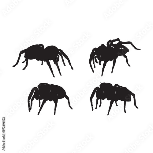 Jumping Spider Silhouette Set Black White Vector Illustration
Spider Silhouette Collection Jumping Spider Black Vector
Jumping Spider Black Silhouette Isolated Minimal Illustration