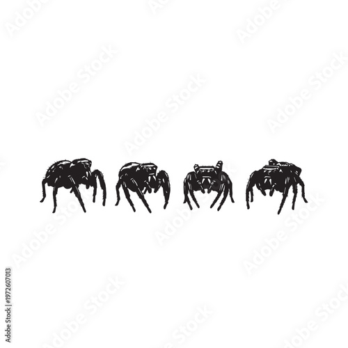 Jumping Spider Silhouette Set Black White Vector Illustration
Spider Silhouette Collection Jumping Spider Black Vector
Jumping Spider Black Silhouette Isolated Minimal Illustration
