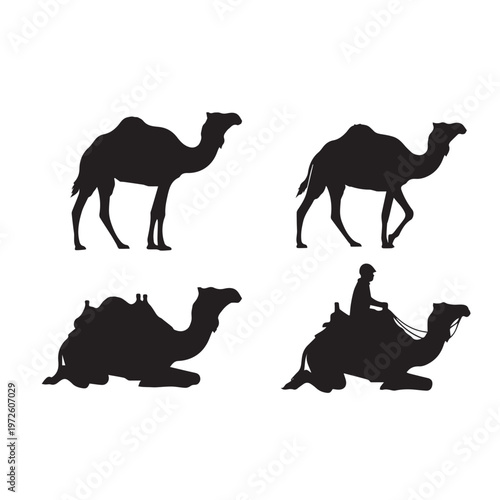 Camel Silhouette Set Black White Vector Illustration Camel Animal Silhouette Collection Desert Mammal Vector Camel Black Silhouette Isolated Set Minimal Animal Illustration