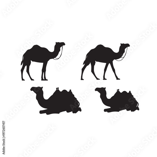 Camel Silhouette Set Black White Vector Illustration Camel Animal Silhouette Collection Desert Mammal Vector Camel Black Silhouette Isolated Set Minimal Animal Illustration