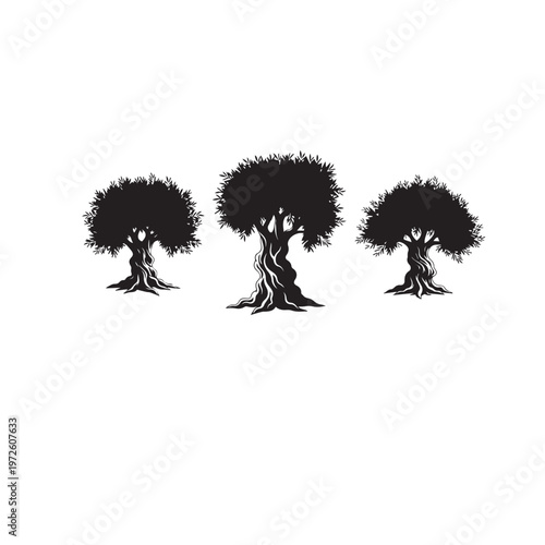 Olive Tree Silhouette Set Black White Vector Illustration
Olive Branch Tree Silhouette Collection Nature Vector
Olive Tree Black Silhouette Isolated Minimal Illustration
