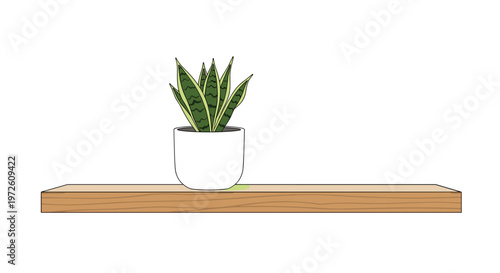 A vibrant green and yellow striped snake plant grows healthily in a simple white ceramic pot placed on a natural light wood floating shelf display now.