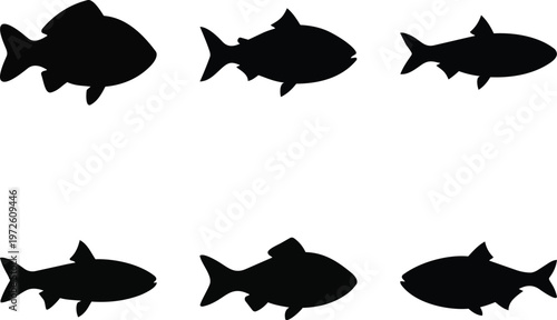 A set of fish silhouettes on transparent background