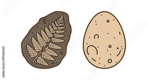 Fotografie Fossilized Fern Leaf and Rock.