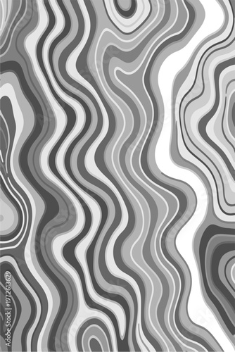 Abstract Black and White Topographic Contour Lines Vector Illustration Digital Landscapes and Geographic Elevation Patterns