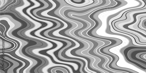 Abstract Black and White Topographic Contour Lines Vector Illustration Digital Landscapes and Geographic Elevation Patterns