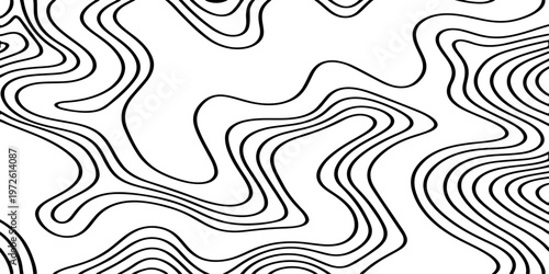 Abstract Black and White Topographic Contour Lines Vector Illustration Digital Landscapes and Geographic Elevation Patterns