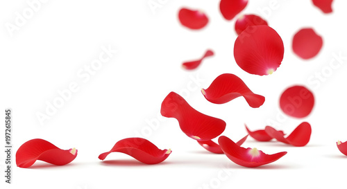 red hearts on white background