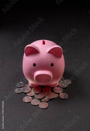 Pink piggy bank collecting coins on dark background