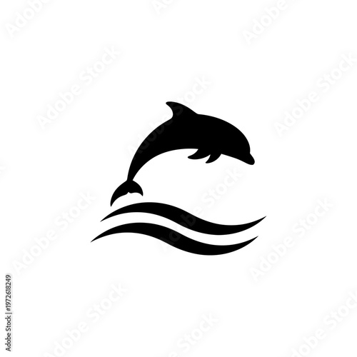 Black dolphin jumping out water.