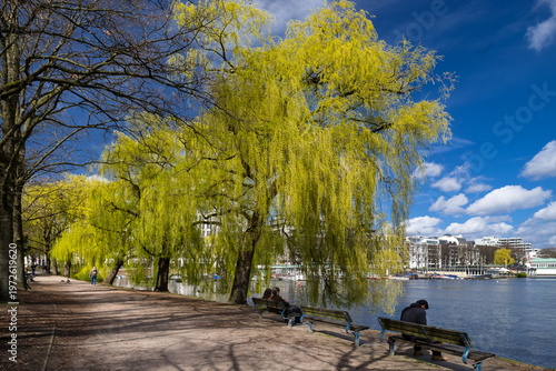Frisches Alster Grün Hamburg Rotherbaum