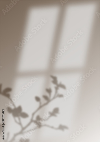 This microstock asset captures a beautiful play of shadows from flowers and a window on a wall. Perfect for background or naturethemed designs.
