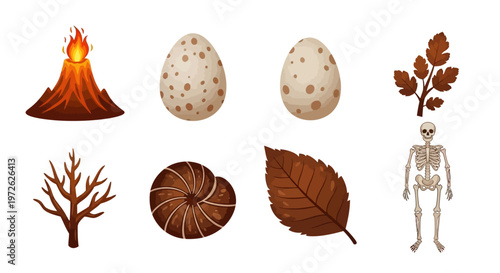 Collection of natural objects and skeleton.