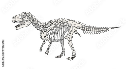 Dinosaur skeleton fossilized ancient creature.