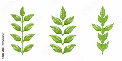 Three vibrant green plant stems with detailed leaf arrangements