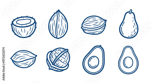 Collection of healthy fruits and nuts in a simple line art style