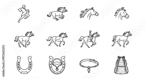 Collection of horse illustrations and equestrian equipment icons in a clean line art style