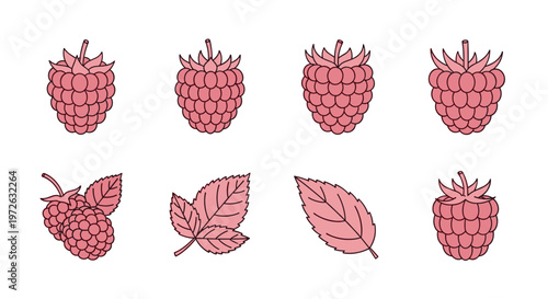Collection of stylized pink raspberries and leaves on a white background