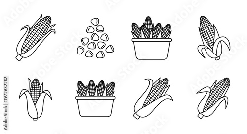 Collection of simple line art icons featuring fresh corn on the cob and kernels